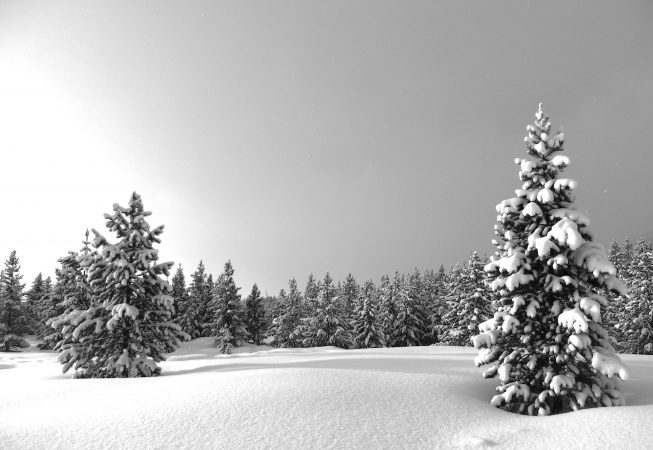 Near Taggart Lake